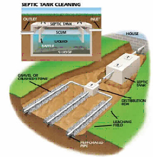 septic tank size
